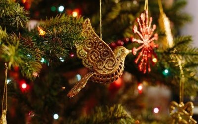 Weihnachts- und Neujahrsgrüße