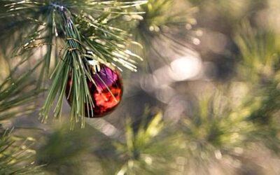 Weihnachtswünsche